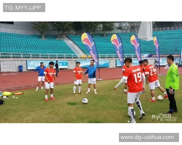 北京排球队逆袭之路揭秘城市联赛背后的奋斗与荣耀 北京排球队逆袭之路揭秘城市联赛背后的奋斗与荣耀