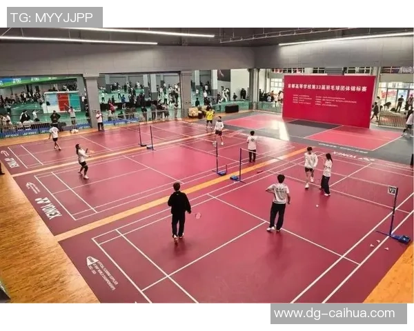 广州羽毛球队团队协作表现卓越荣获全国排名新高引发关注