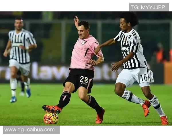 石马足球:传承与创新交织的足球文化之旅 石马足球:传承与创新交织的足球文化之旅