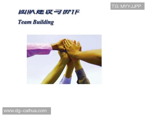 深圳足球队选拔赛点评团队协作表现分析与未来发展展望