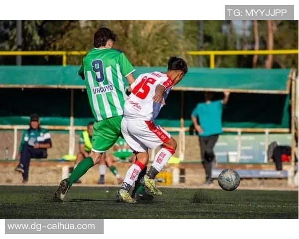 深入探讨广州篮球队配合表现的数据分析与战术优化策略